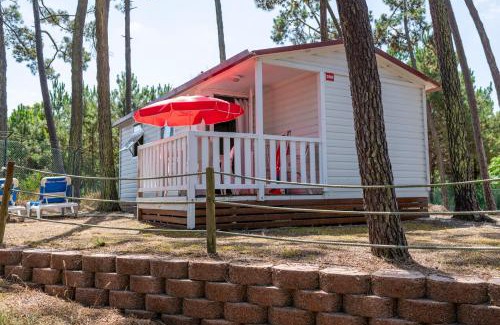 Cacia Sonstige | Parque de Campismo Orbitur Sao Jacinto