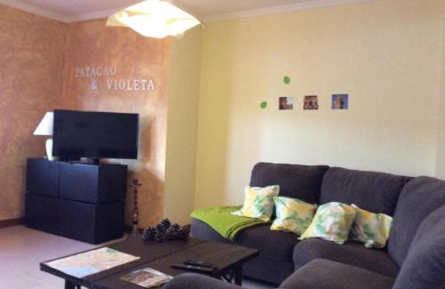 Se Wohnung | Patacão&Violeta