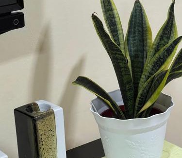 Baharu Wohnung | PD VIP Pool View w WiFi - Anugerah Staycation