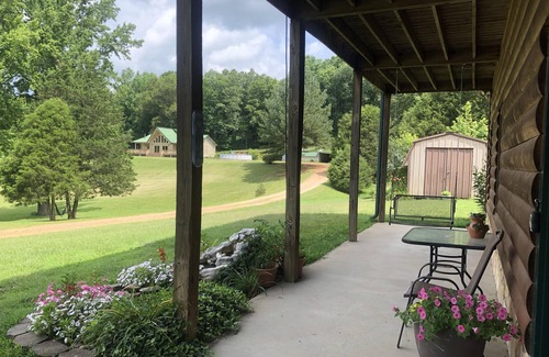 Centerville Kabine | Friedliche Hügel Hütte auf 97 Morgen - sauber, familienfreundlich, friedlich und ruhig!