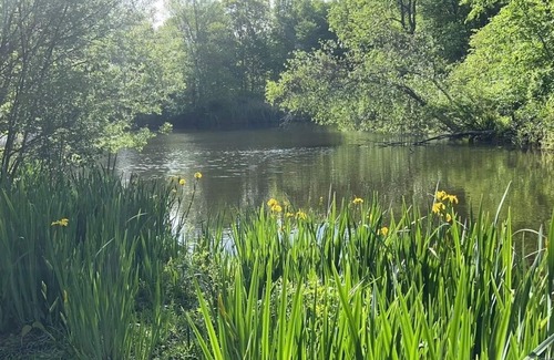 Redding Ridge Haus | Peaceful Vintage Home with Private Lake in Redding, CT.