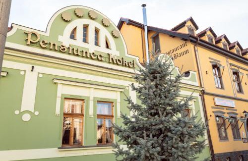Dumbraveni Hotel | Pension Kokel