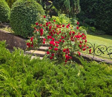 Sovata Haus | Pensiunea Fortuna