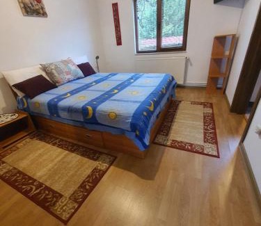 Rucar Haus | Pensiunea Geta
