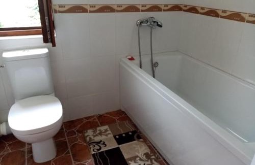 Pojorita Haus | Pensiunea Gură de Rai, Pojorâta