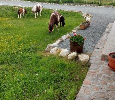 Avram Iancu Haus | Pensiunea Muntele Gaina