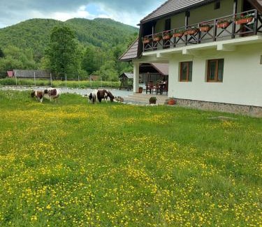 Avram Iancu Haus | Pensiunea Muntele Gaina