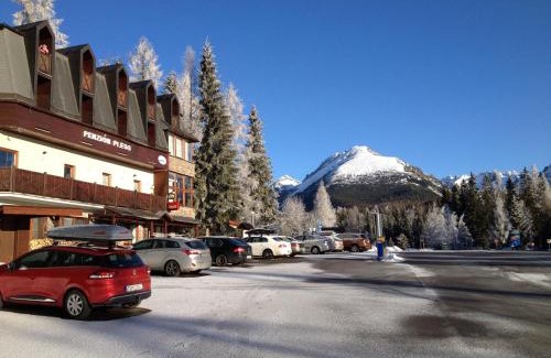 Strbske Pleso Haus | Penzión Pleso