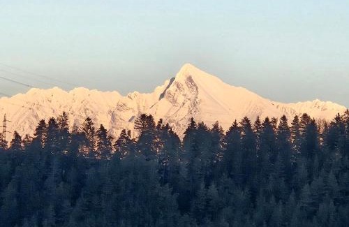 Liptovsky Jan Haus | Penzión U Koníka