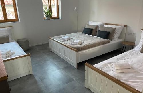 Mikulcice Wohnung | Penzion U Blechy a Švába