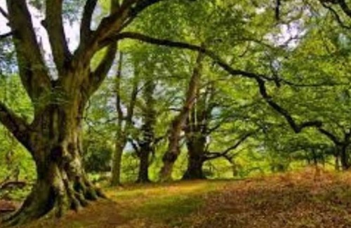 Barrington Haus | Perfect Family Getaway: Spacious 5BR Home in Barrington