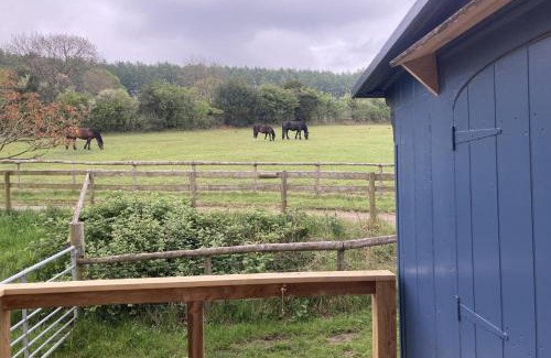 Longhope Haus | Pet Friendly - 2 Guests - Original Roadsmans Wagon