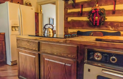 Warm Springs Haus | Pet-Friendly Cabin w/ fireplace 3 min to hot spring pools
