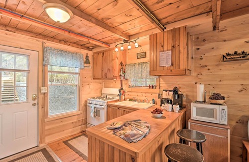 Ellsworth Hütte | Pet-Friendly Ellsworth Cottage on Branch Lake