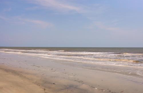 Jekyll Island Wohnung | Pet-Friendly Jekyll Island Abode - Walk to Beach!