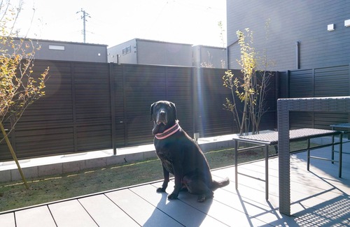 Fujikawaguchiko Haus | Pets allowed Mt Fuji 2LDK BBQ terrace 104 / Minamitsuru-gun Yamanashi