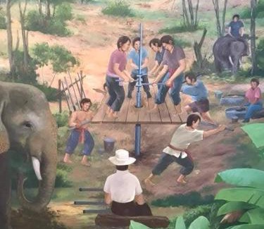 Takua Pa Haus | Phang-nga Farm Stay