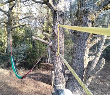 Tecate Municipality Sonstige | Piñoneras del cóndor