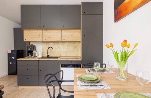 Katowice Wohnung | Piastów 5 Kattowitz | Bequeme Wohnung | Balkon | Smart TV | Park Śląski, Zoo