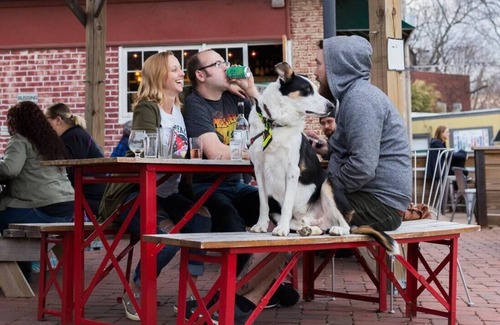 Rountree Wohnung | Pickwick Places 202 MSU/Rountree