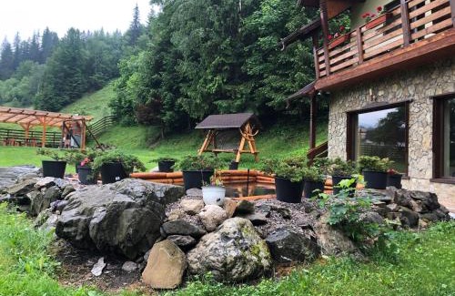 Pojorita Haus | Pietrele Doamnei