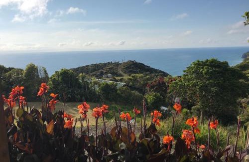 New Lynn Haus | Piha Tiny House