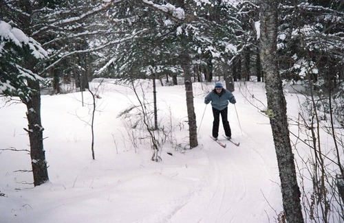 Conover Wohnung | Pinecone Place Lower Unit - 1 Schlafzimmer