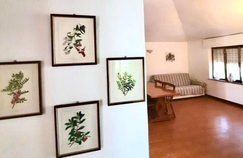 Siniscola Haus | Pineta sul mare S'Ena e Sa Chitta