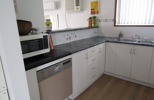 Para Wurlie Haus | Pinus Craziartus - Die Kiefern