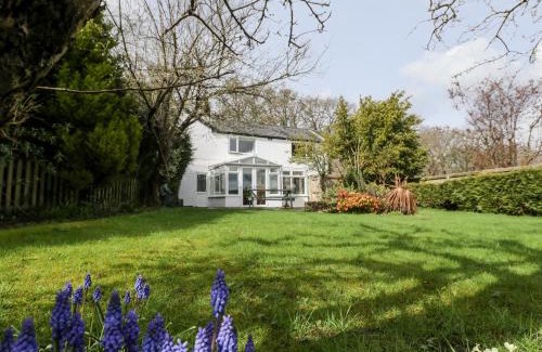 Lydney Haus | Pippins