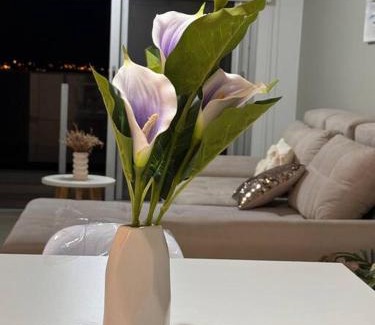 Posadas Wohnung | PISO 12 Edif Alarif Trench