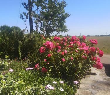 Mahalon Haus | Plain-pied En Rez-de-jardin