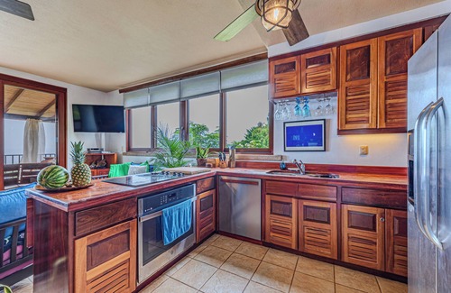 Dominical Haus | Playa Guapil near Dominical 25 Acre Estate - Amazing Ocean Views & Wildlife!!