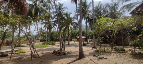 Palomino Haus | Playa María Pasadía