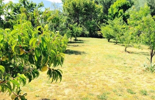 Pakaraka Haus | Das Ploughman's Cottage - Bay of Islands Kurzurlaub