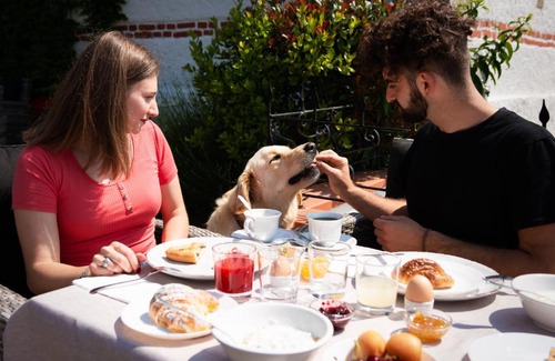 Barberino di Mugello Bed & Breakfast | Podere Belvedere