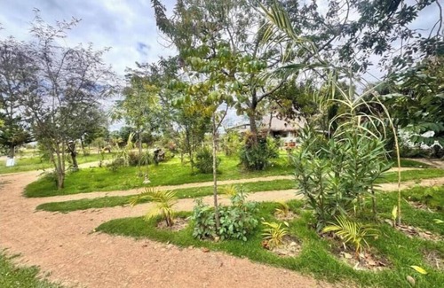 Nanyuki Hütte | Podocarpus cottages 03