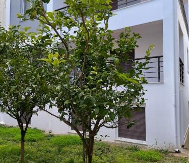 Polichrono Haus | Polychrono Waves