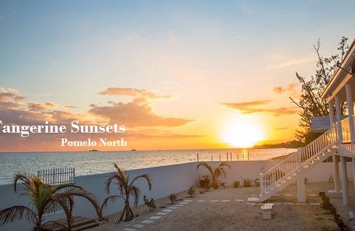 Adelaide Haus | Pomelo North Tangerine Sunsets