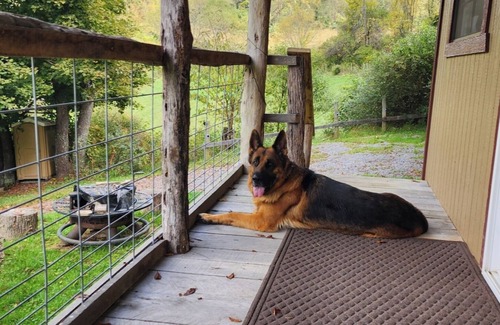 Lewisburg Kabine | Pond View Cabin in Wild Wonderful WV