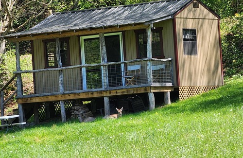 Lewisburg Kabine | Pond View Cabin in Wild Wonderful WV