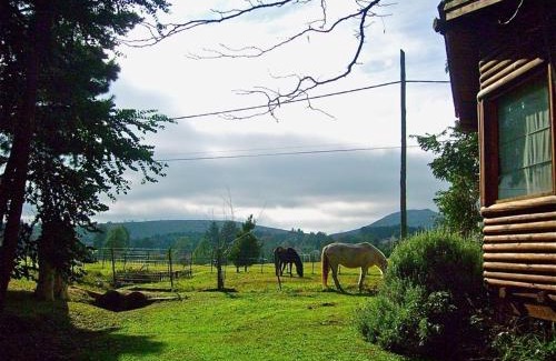 Tandil Kabine | Posada del Viento