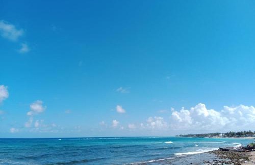 Punta Sur Wohnung | Posada MCKELLER