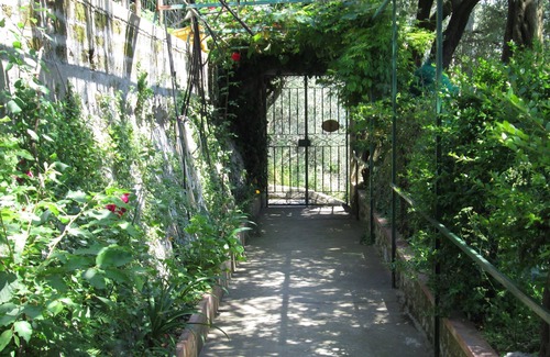 Montepertuso Wohnung | Positano House B & B L'Uliveto