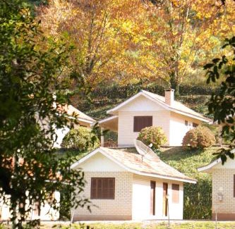 Flores da Cunha Hotel | Pousada Parque das Pitangueiras