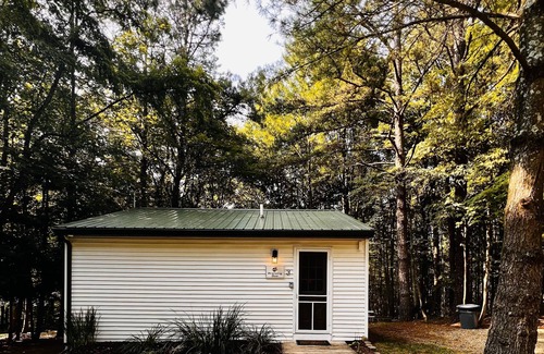 Laurelville Kabine | Prancing Doe sleeps 6, or rent all 4 for 20. Horseback riding across the Rd!