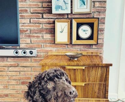 Almerimar Wohnung | Primera linea de Playa de Martina