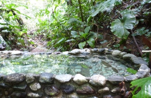 Puerto Jimenez Haus | 4 Wohnzimmer / 2 Küchen / Indoor-OutdoorPool / Meerblick / Incl Private SPA /