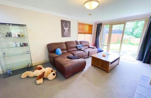 Pukehangi Haus | Private and Perfect for Families, Rotorua Escape