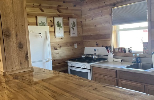 Geneva-on-the-Lake Kabine | Private cabin that sits on fenced in one acre lot. (Dog friendly)